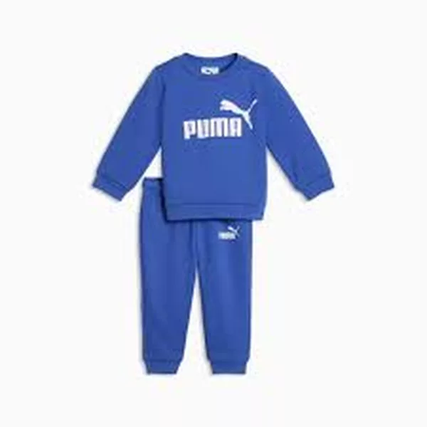 Ensemble Puma